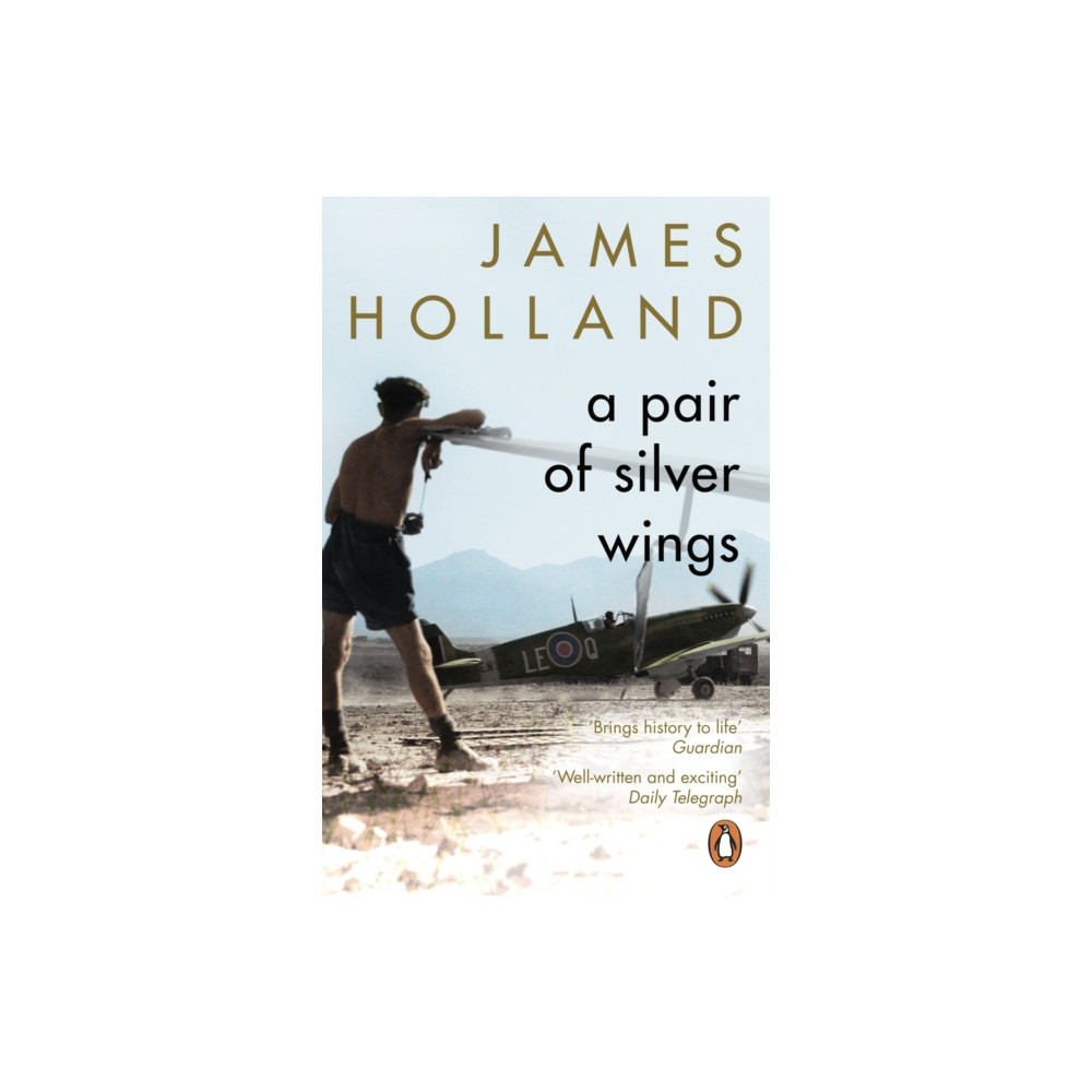 Produktbild för A Pair of Silver Wings (häftad, eng)