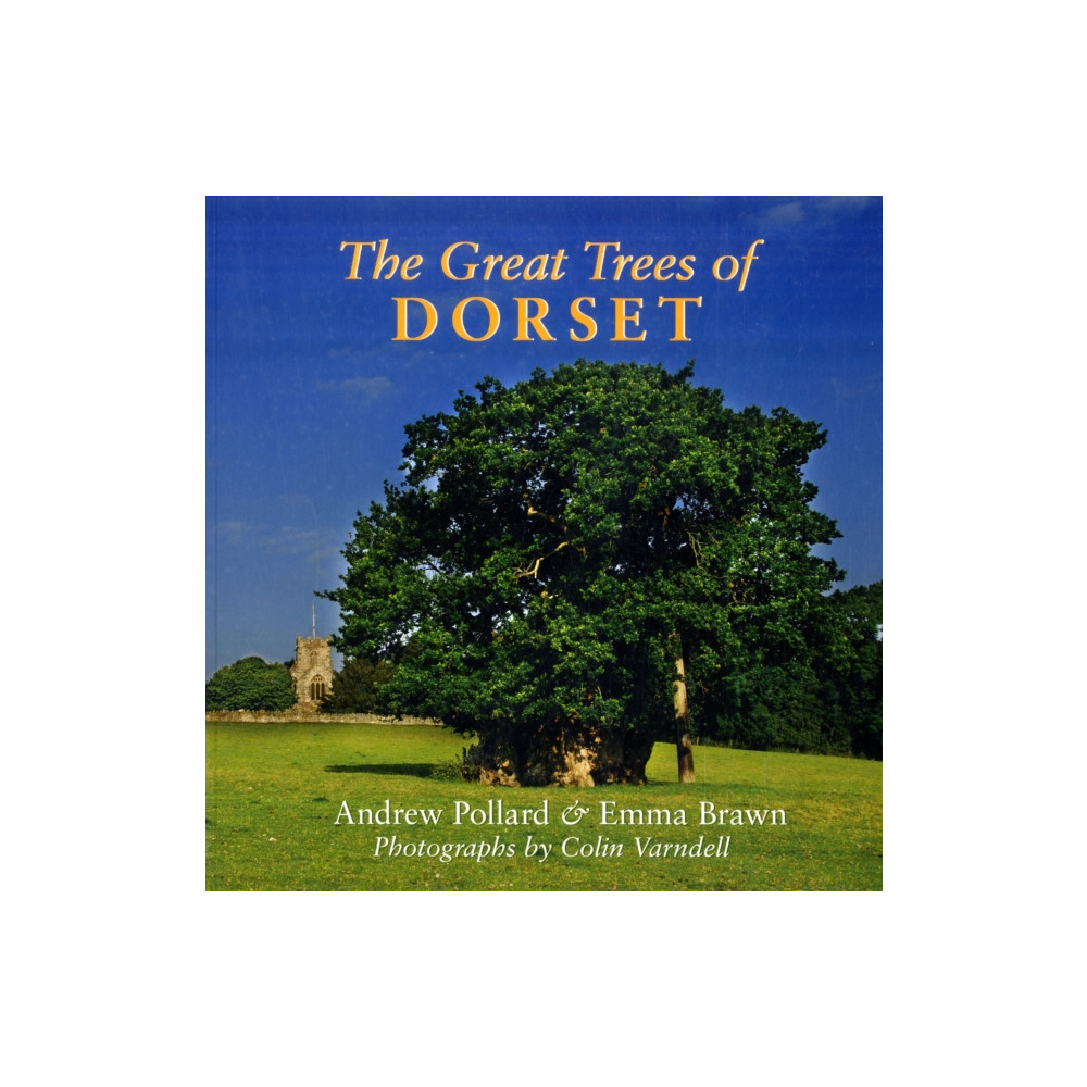 Produktbild för The Great Trees of Dorset (häftad, eng)