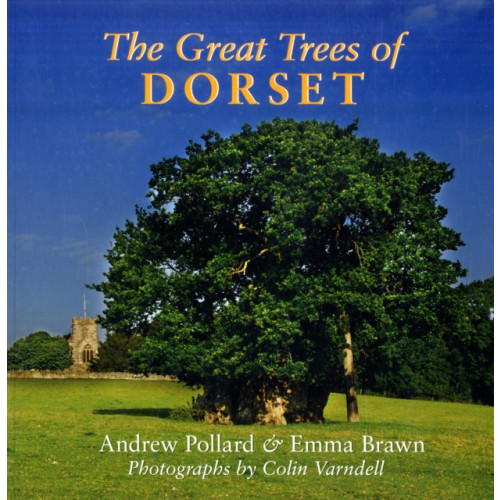 The Dovecote Press The Great Trees of Dorset (häftad, eng)