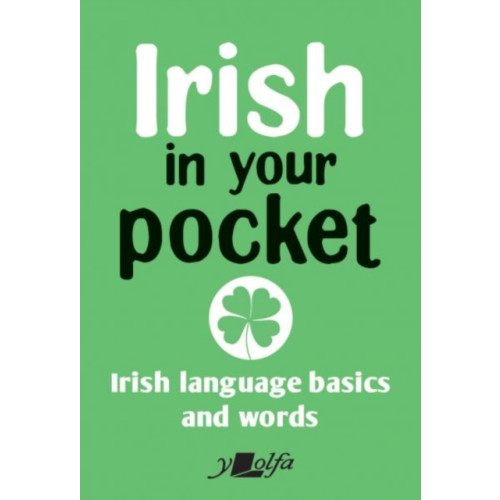 Y Lolfa Irish in Your Pocket (häftad, eng)