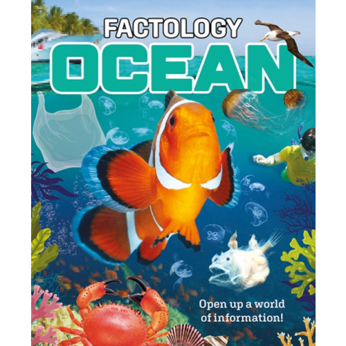 Button Books Factology: Ocean (inbunden, eng)