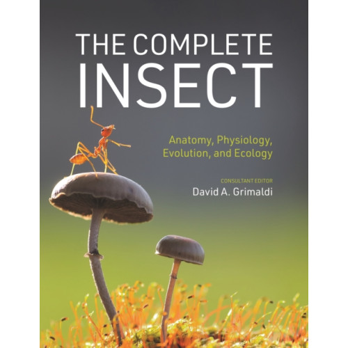 Princeton University Press The Complete Insect (inbunden, eng)