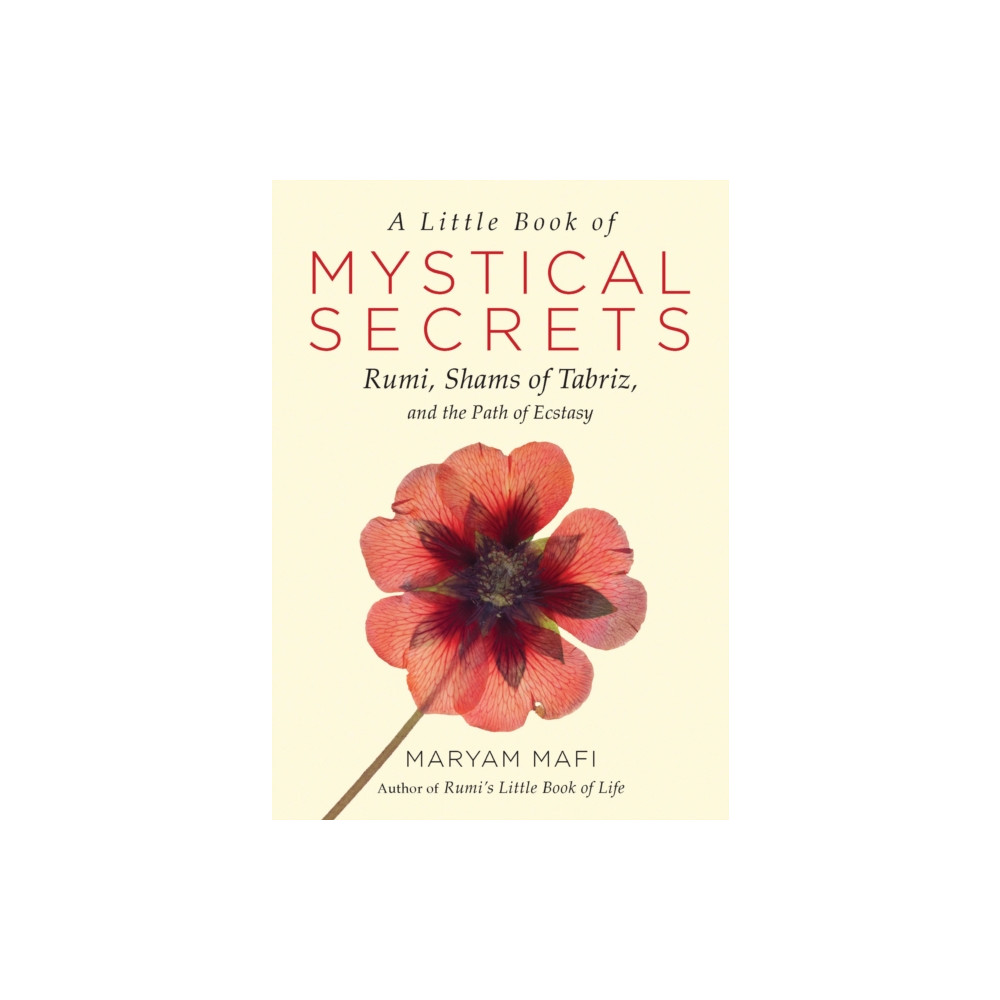 Produktbild för A Little Book of Mystical Secrets (häftad, eng)