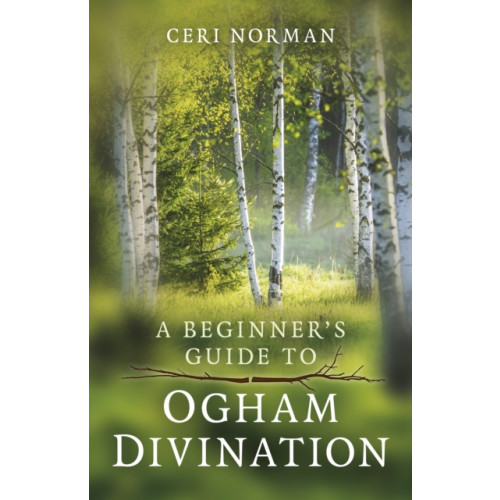 Collective Ink Beginner's Guide to Ogham Divination, A (häftad, eng)