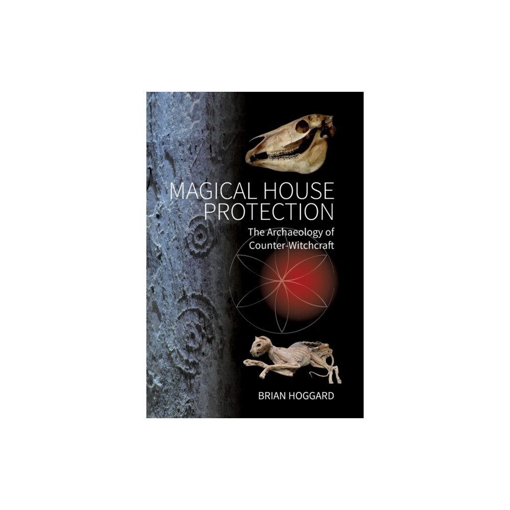 Produktbild för Magical House Protection (häftad, eng)