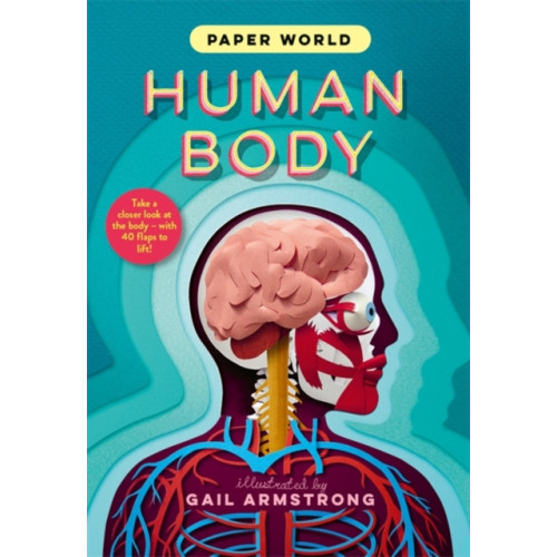 Templar Publishing Paper World: Human Body (inbunden, eng)