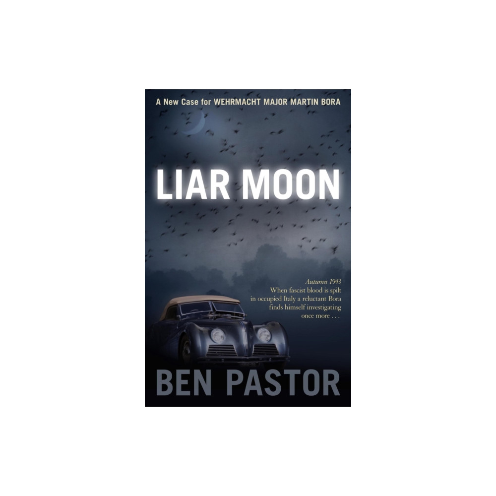 Produktbild för Liar Moon (häftad, eng)