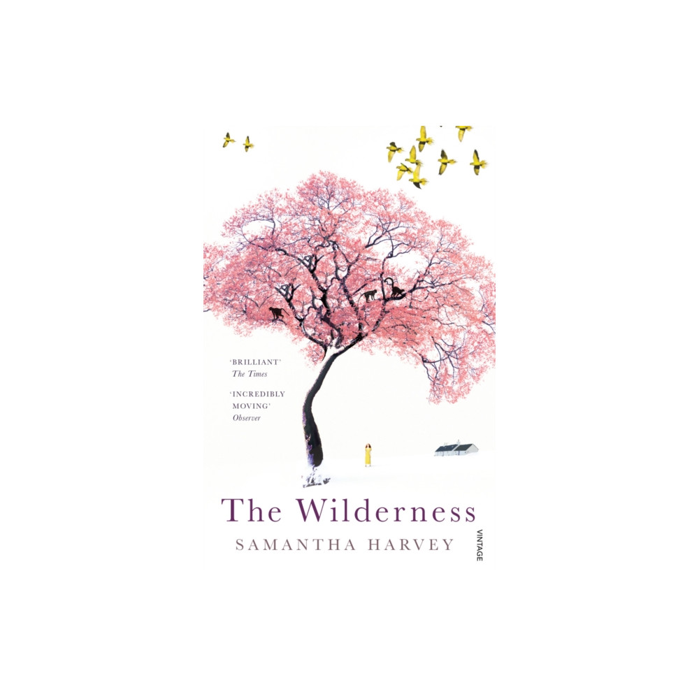 Produktbild för The Wilderness (häftad, eng)
