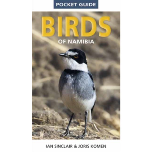 Penguin Random House South Africa Pocket Guide to Birds of Namibia (häftad, eng)