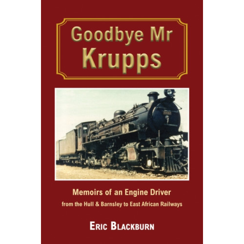 Austin Macauley Publishers Goodbye Mr Krupps (häftad, eng)