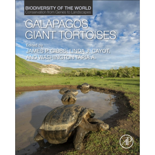 Elsevier Science Publishing Co Inc Galapagos Giant Tortoises (inbunden, eng)