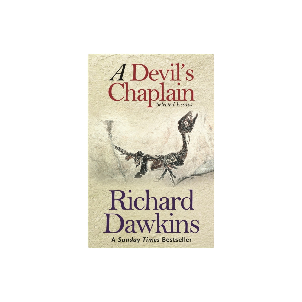 Produktbild för A Devil's Chaplain (häftad, eng)