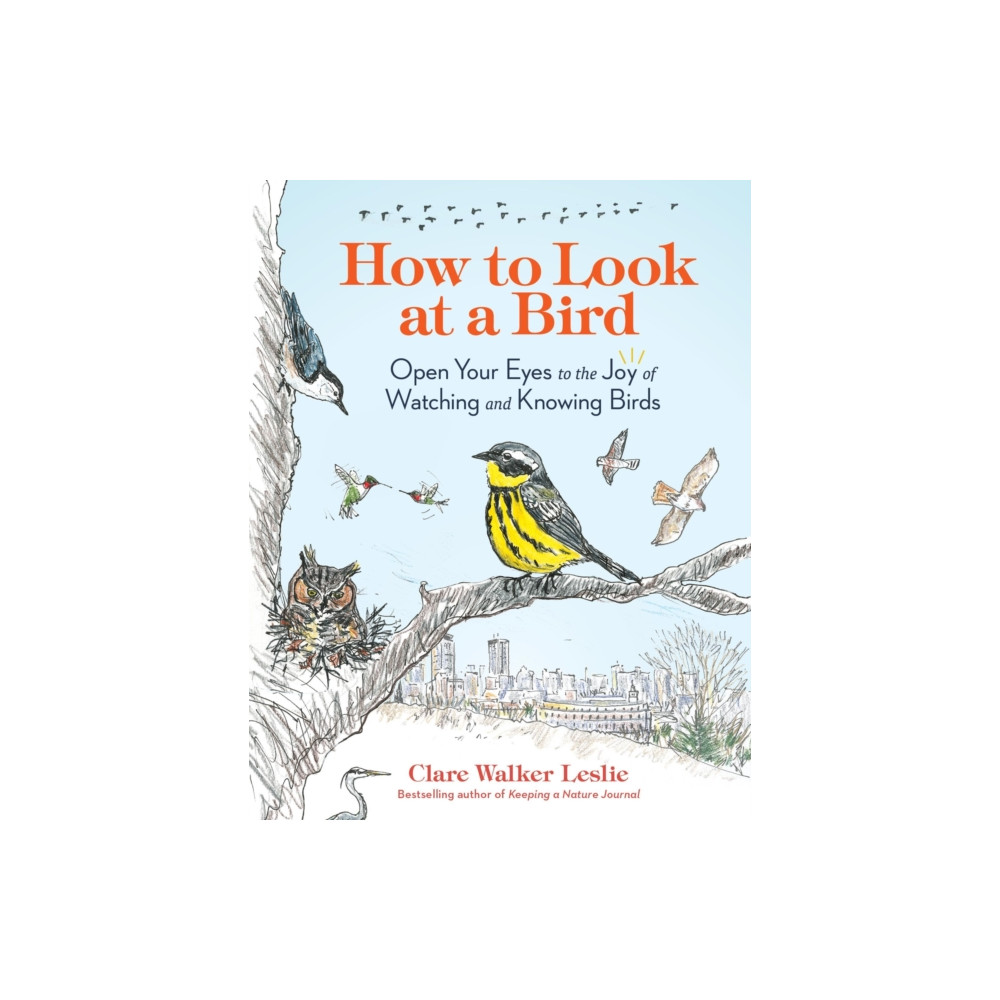 Produktbild för How to Look at a Bird (häftad, eng)
