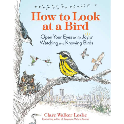 Workman Publishing How to Look at a Bird (häftad, eng)