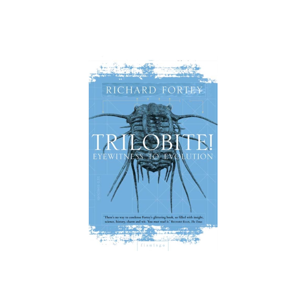Produktbild för Trilobite! (häftad, eng)
