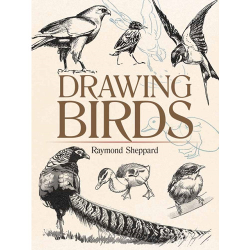 Dover publications inc. Drawing Birds (häftad, eng)