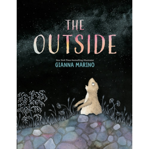 Penguin USA The Outside (inbunden, eng)