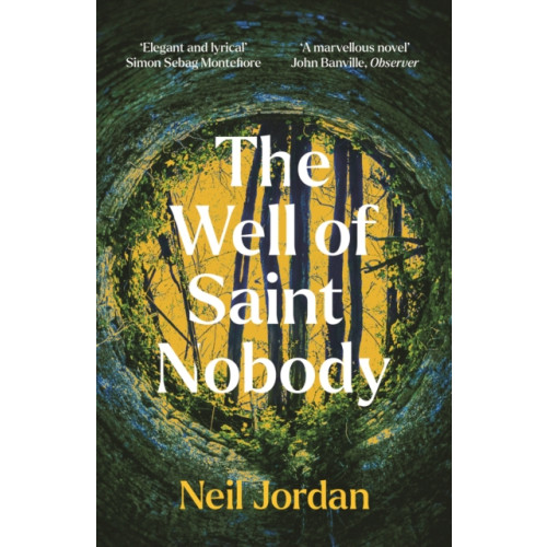 Bloomsbury Publishing PLC The Well of Saint Nobody (häftad, eng)