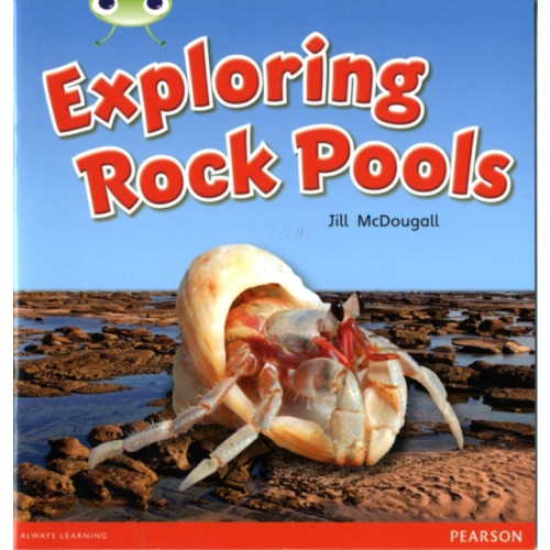 Pearson Education Limited Bug Club Guided Non Fiction Year 1 Green C Exploring Rock Pools (häftad, eng)