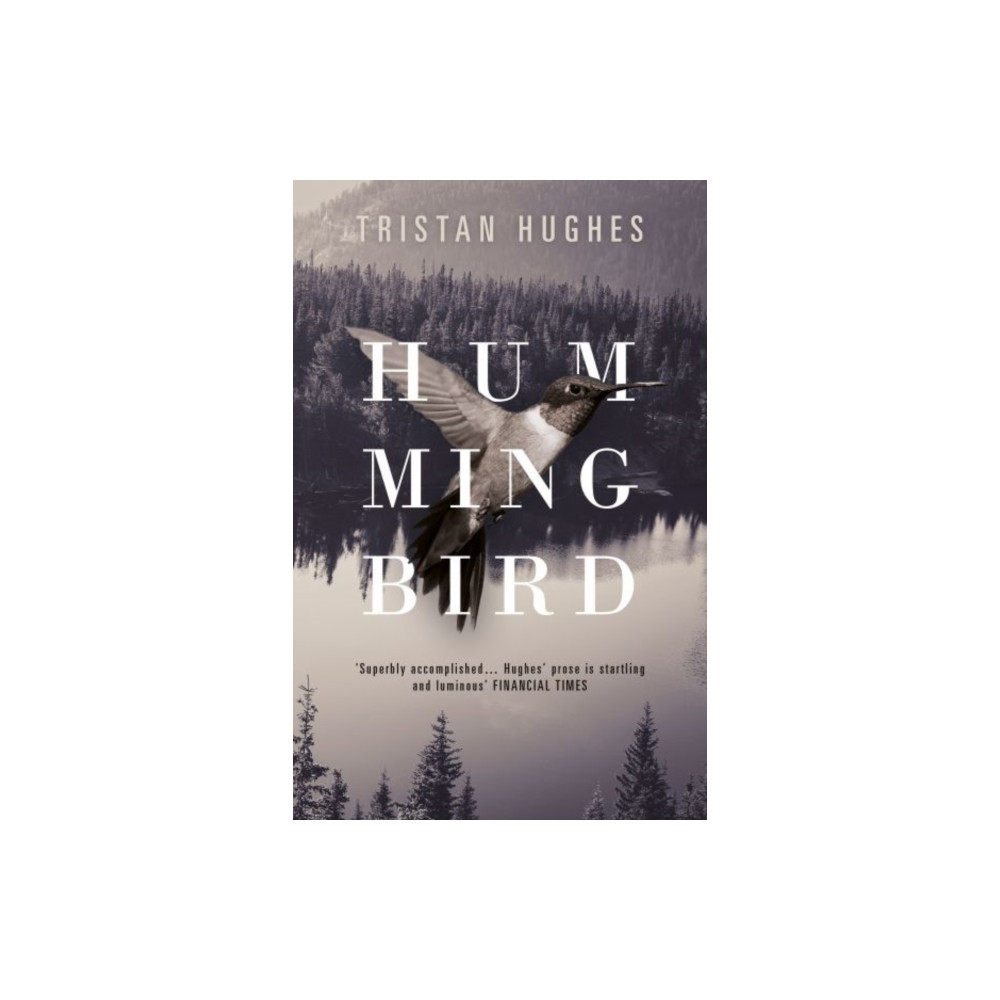 Produktbild för Hummingbird (inbunden, eng)