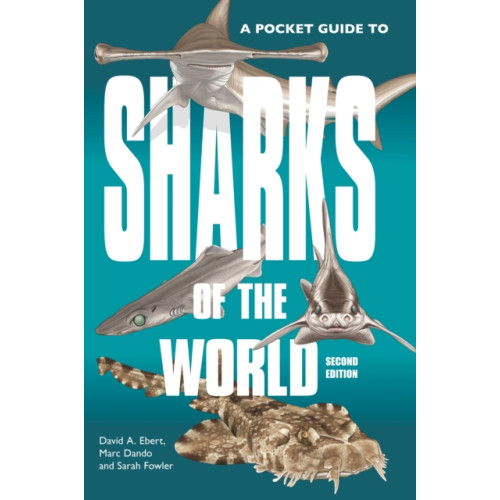 Princeton University Press A Pocket Guide to Sharks of the World (häftad, eng)