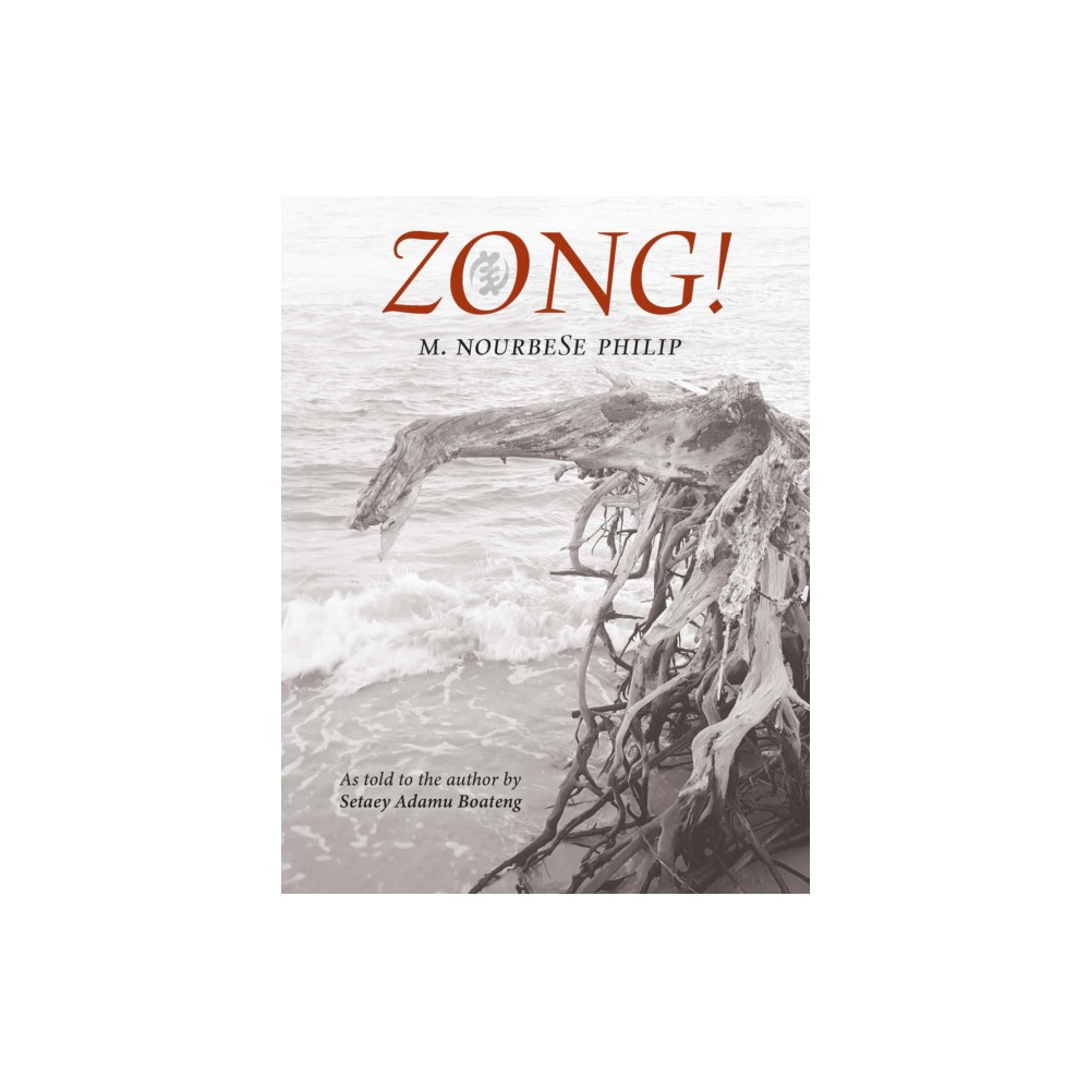 Produktbild för Zong! (häftad, eng)
