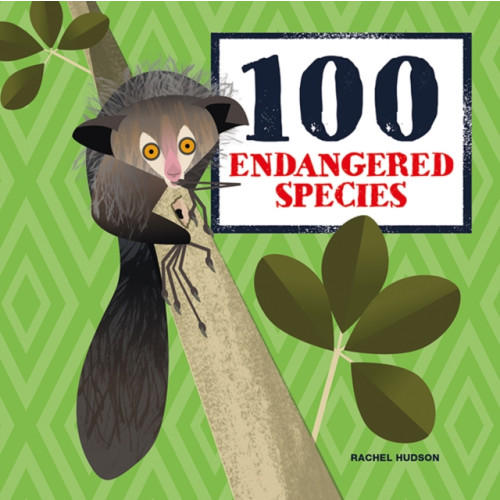 Button Books 100 Endangered Species (inbunden, eng)