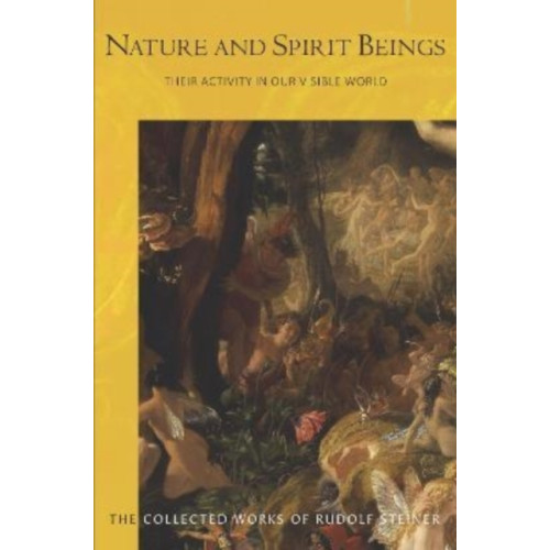 Rudolf Steiner Press Nature and Spirit Beings (häftad, eng)