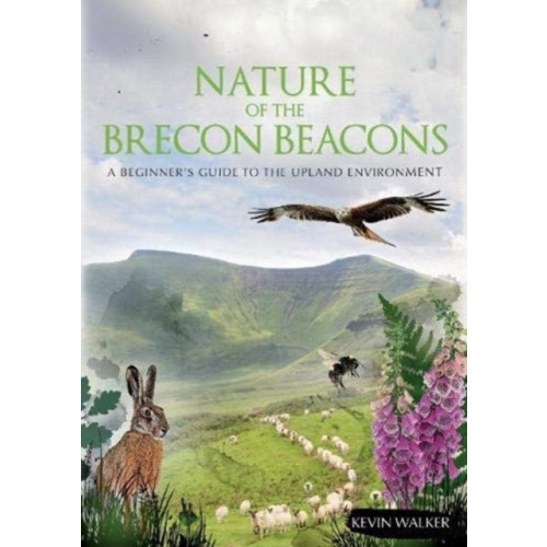 Pesda Press Nature of the Brecon Beacons (häftad, eng)