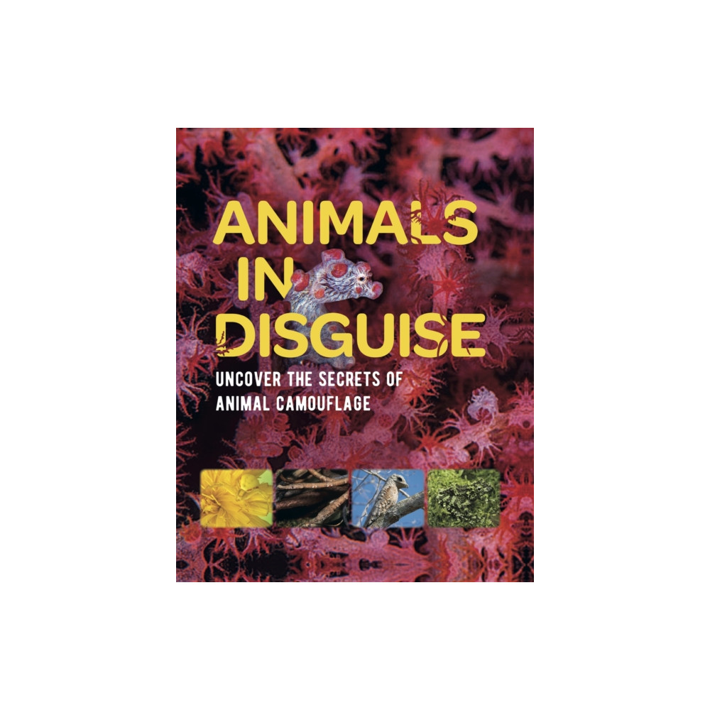 Produktbild för Animals in Disguise (häftad, eng)