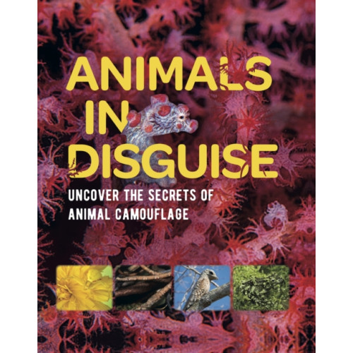 Hachette Children's Group Animals in Disguise (häftad, eng)