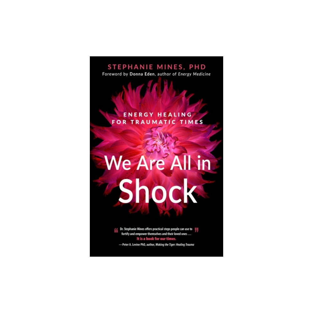 Produktbild för We are All in Shock (häftad, eng)
