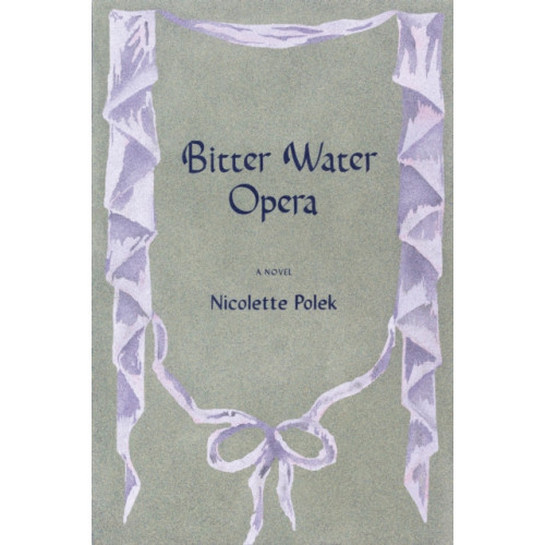 Farrar Straus & Giroux Bitter Water Opera (häftad, eng)