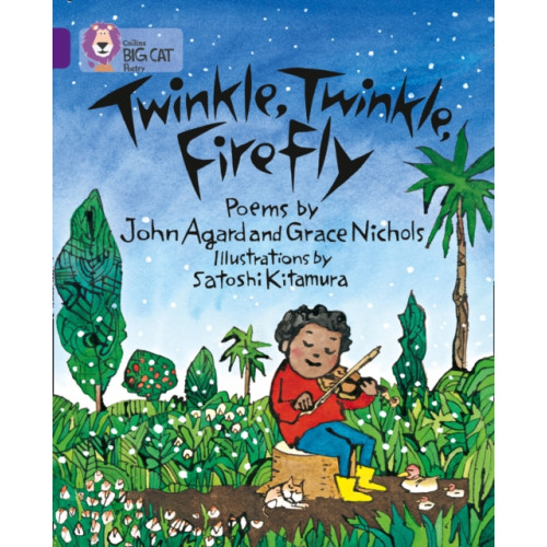 HarperCollins Publishers Twinkle, Twinkle, Firefly (häftad, eng)