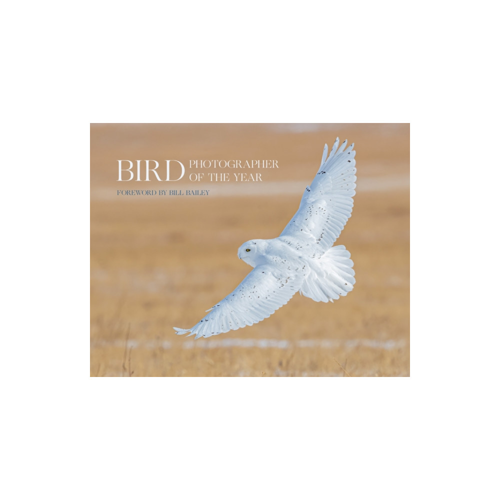 Produktbild för Bird Photographer of the Year (inbunden, eng)