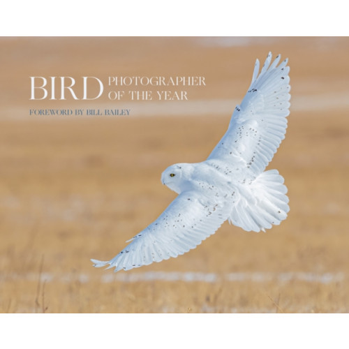 HarperCollins Publishers Bird Photographer of the Year (inbunden, eng)