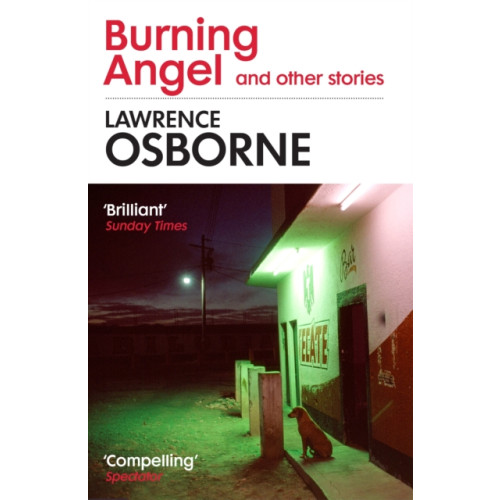 Vintage Publishing Burning Angel and Other Stories (häftad, eng)