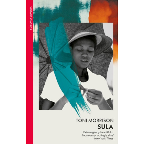Vintage Publishing Sula (häftad, eng)
