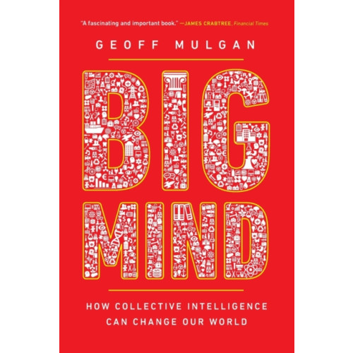 Princeton University Press Big Mind (häftad, eng)