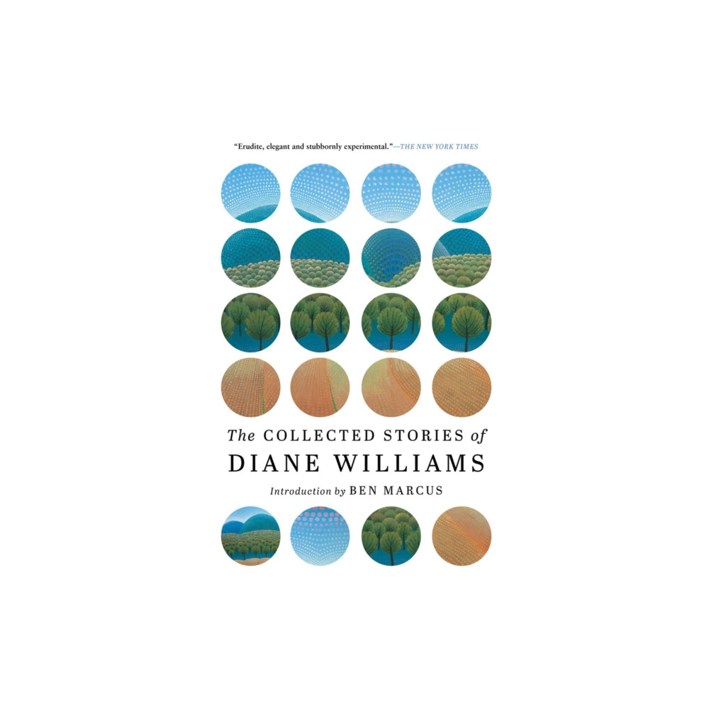 Produktbild för The Collected Stories of Diane Williams (häftad, eng)