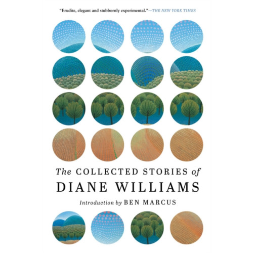 Soho Press Inc The Collected Stories of Diane Williams (häftad, eng)