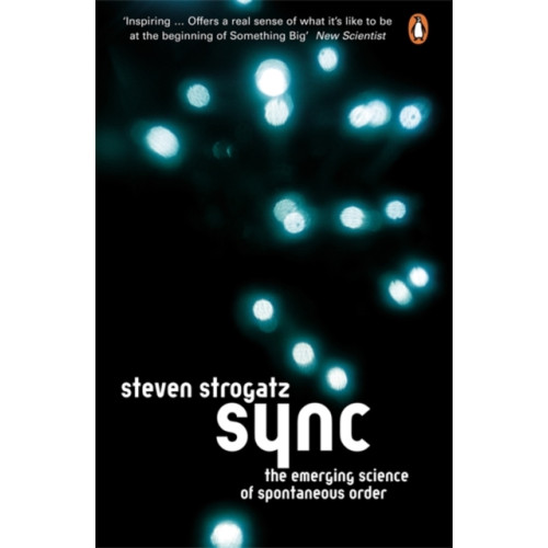 Penguin books ltd Sync (häftad, eng)