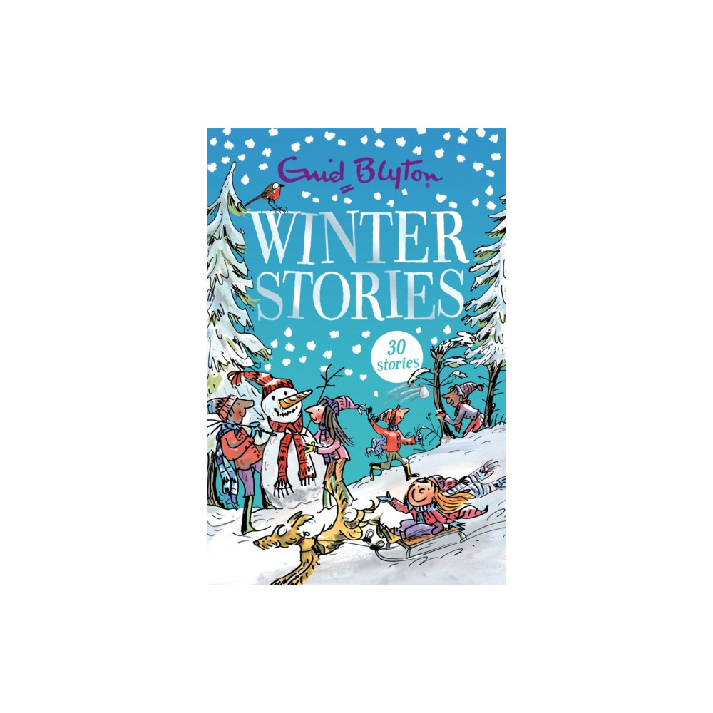 Produktbild för Winter Stories (häftad, eng)