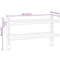 Produktbild för Vägghyllor 2 nivåer 100x23,5x60 cm silver rostfritt stål