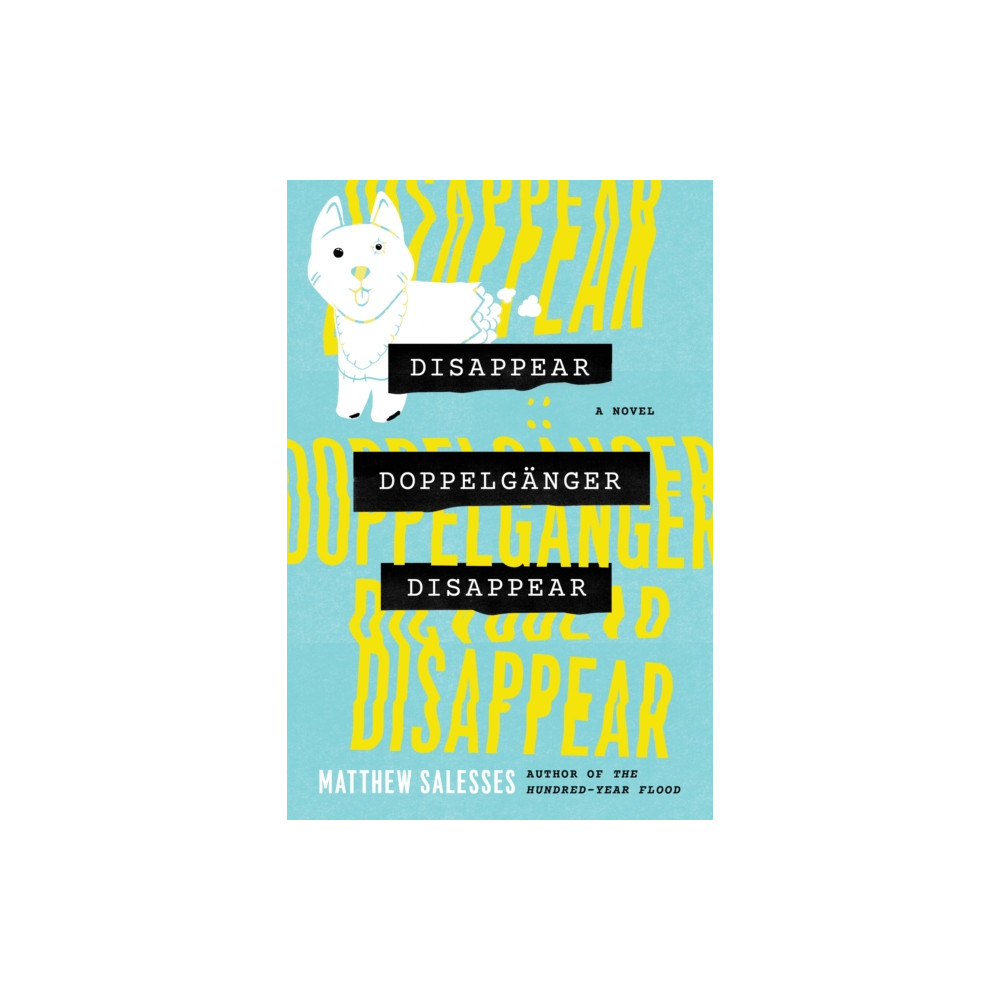 Produktbild för Disappear Doppelganger Disappear (häftad, eng)