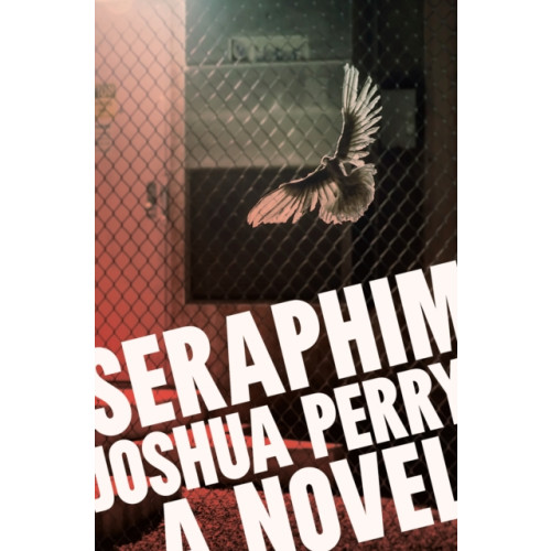 Melville House Publishing Seraphim (häftad, eng)