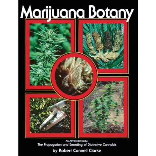 Ronin Publishing Marijuana Botany (häftad, eng)