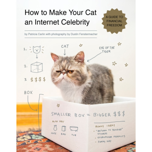 Quirk Books How to Make Your Cat an Internet Celebrity (häftad, eng)