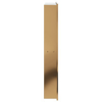 Produktbild för Duschnisch borstad guld 32x62x9 cm rostfritt stål