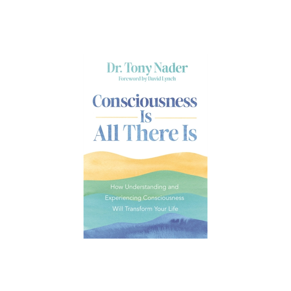 Produktbild för Consciousness Is All There Is (häftad, eng)